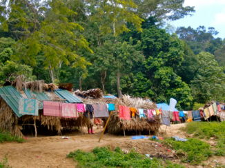 Taman Negara National Park - Orang Asli