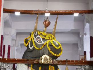 Bangalore (Bengaluru) - De Bull temple