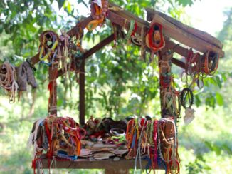 Killing Fields