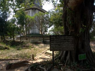 Killing Fields