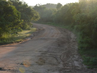 Yala National Park - Één van de vele wegen in Yala National Park