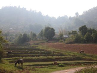 Myanmar - Inle Lake