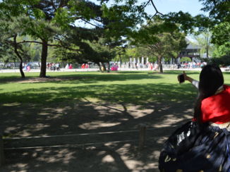 Seoul - Korean Selfie