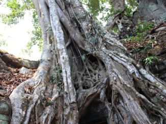 Angkor Wat