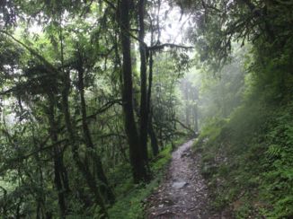 Annapurna Trail Trek