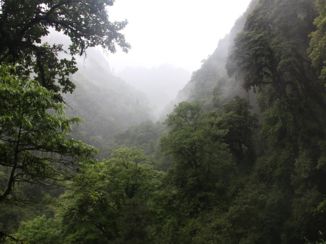 Annapurna Trail Trek