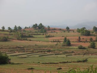 Kalaw