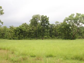 Chitwan National Park