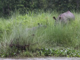 Nepal - Chitwan National Park