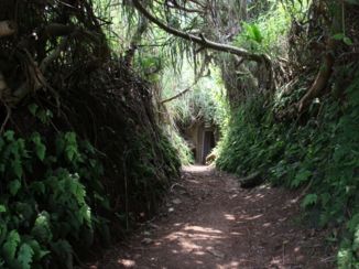 Tunnelcomplex van Vịnh Mốc