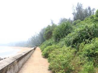 Tunnelcomplex van Vịnh Mốc