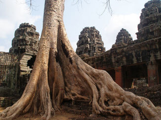 Angkor Wat - Banteay Kdei