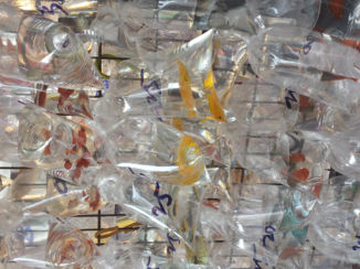 China - Hongkong dierenwinkel