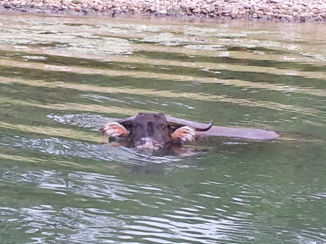 China - Guilin / Yangshuo