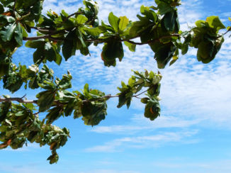 Krabi - Ao Nang Beach
