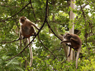 Krabi - Railay Beach