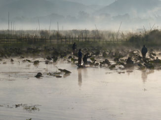 Myanmar - vissers bij het ochtendgloren op Inle lake.