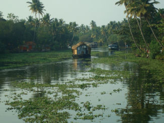 India - De backwaters van Kerala