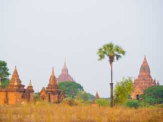 Myanmar - tempels in Bagan