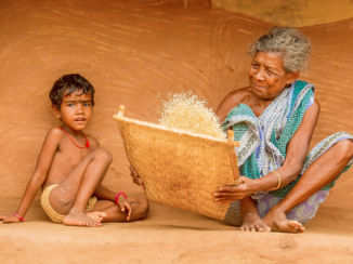 Riksja India - rijst sorteren