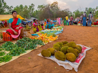Riksja India - marktdag in Orissa