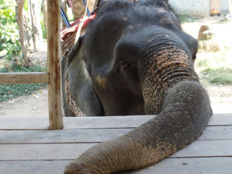 Thailand - Koh Lanta