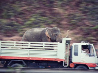 Thailand - On the road