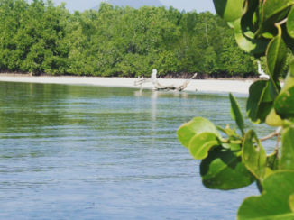 Filipijnen - Puerto Princesa