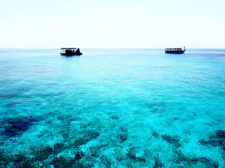 Malediven - Vissersbootjes