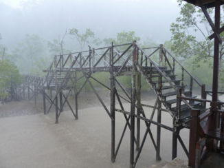 Maleisië - Bako National Park
