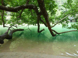 Filipijnen - Vlakbij de grotten