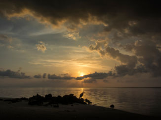 Malediven - malediven medufushi