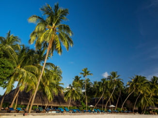 Malediven - malediven medufushi