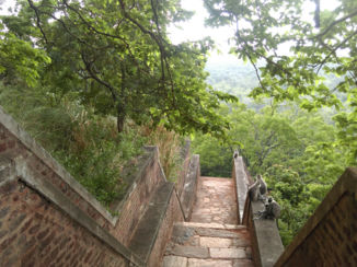 Sri Lanka - Familie van aapjes op de Lion Rock