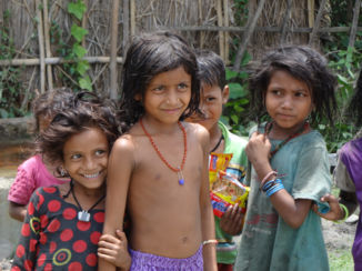 Nepal - Koshi Tappu Wildlife Reserve