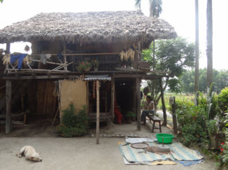 Nepal - Terai area