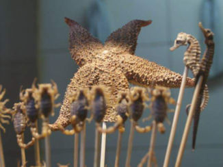 China - Gebakken zeester en zeepaardjes bij een snackstreet