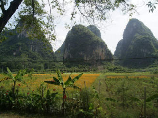 China - Rijstvelden in het Karstgebergte