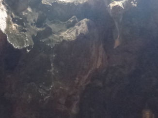 Thailand - sun rays and buddhas