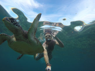 Tibet - Apo Island (Filipijnen)