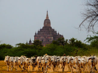 Bagan