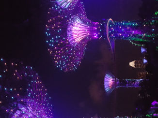 Singapore - Byron by the bay lightshiw