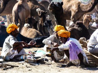 India - pushkar