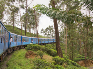 Sri Lanka - treinreis vanuit Kandy