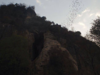 Cambodja - Batcave Battambang