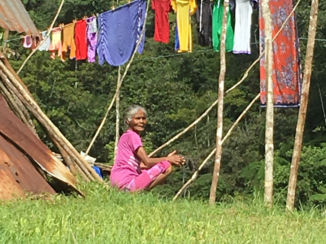 Maleisië - Cameron highlands