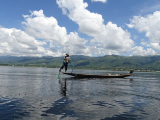 Myanmar - Beenroeier Inle Lake