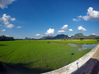 Myanmar - Rijstvelden van Hpa-An