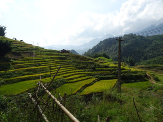 Sapa - De prachtige rijstterrassen