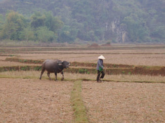 Vietnam - Mai Chau vallei